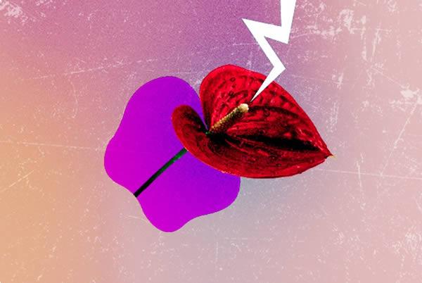 Giddy Asks Heather Jeffcoat: Why does My Clitoris Hurt?