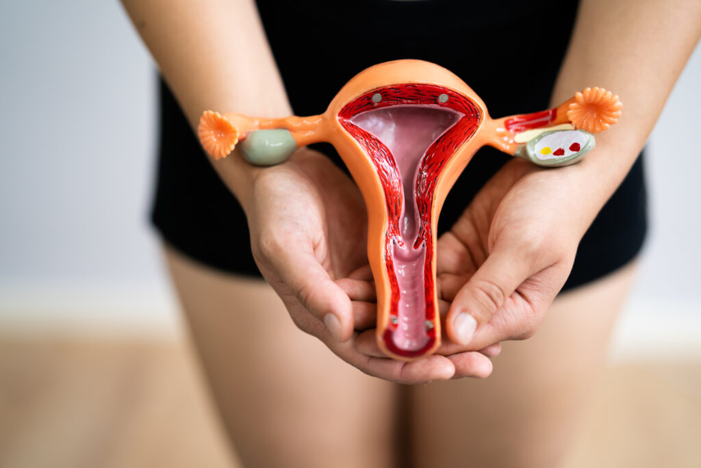 Vulvodynia: Chronic Vulvar Pain Causes, Symptoms, and Treatment