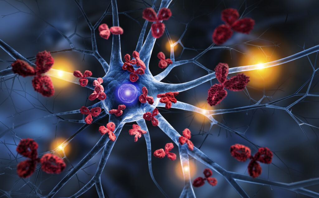 Chronic Pain, Recovery, and Immunity: PT Strategies to Rebalance Your Body