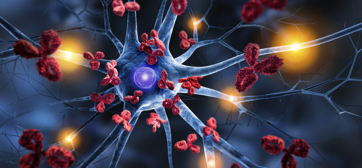 Chronic Pain, Recovery, and Immunity: PT Strategies to Rebalance Your Body